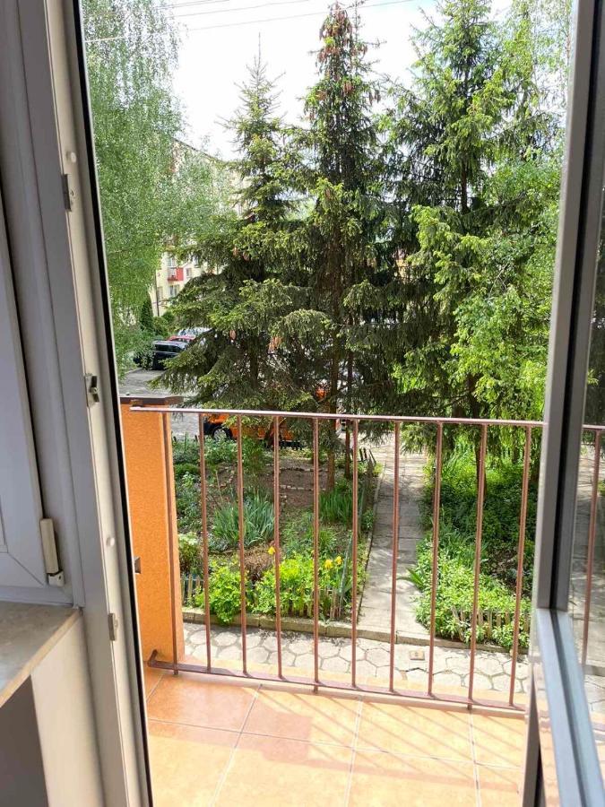 Apartament Mickiewicza 11 Apartment Сандомир Екстериор снимка